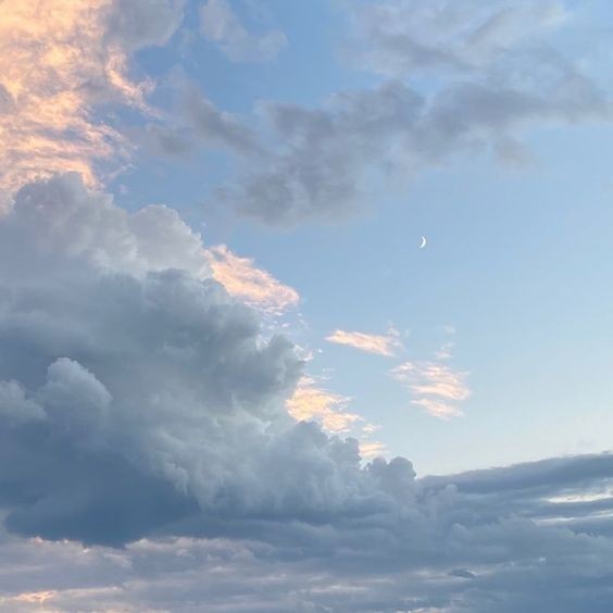 푸른 학은 구름 속에 우는데