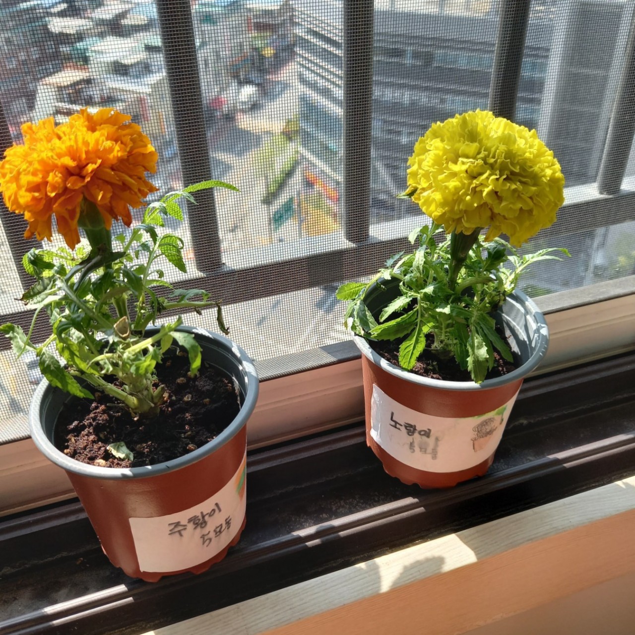 피아노쳐달는건다쳐줌니댜!!!!!!!!