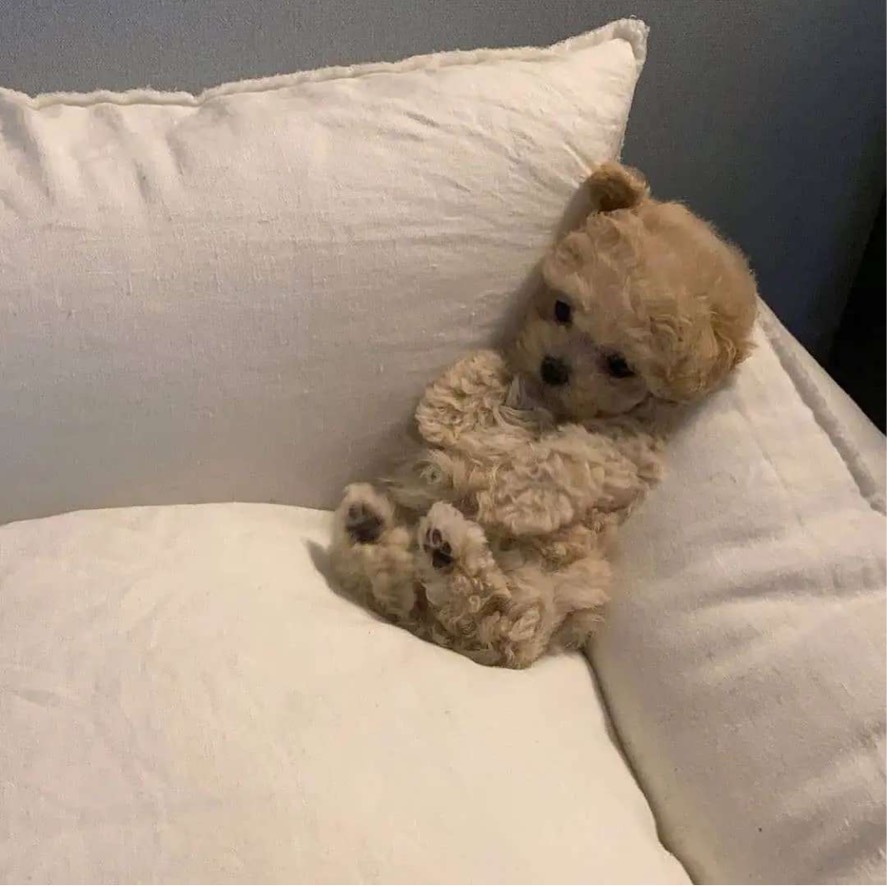 ㅈㅓㄱㄷㅏㅇㅎㅣ.