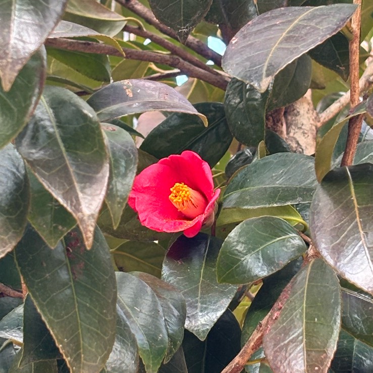 너라고 부를게~ 뭐하고 하동동~