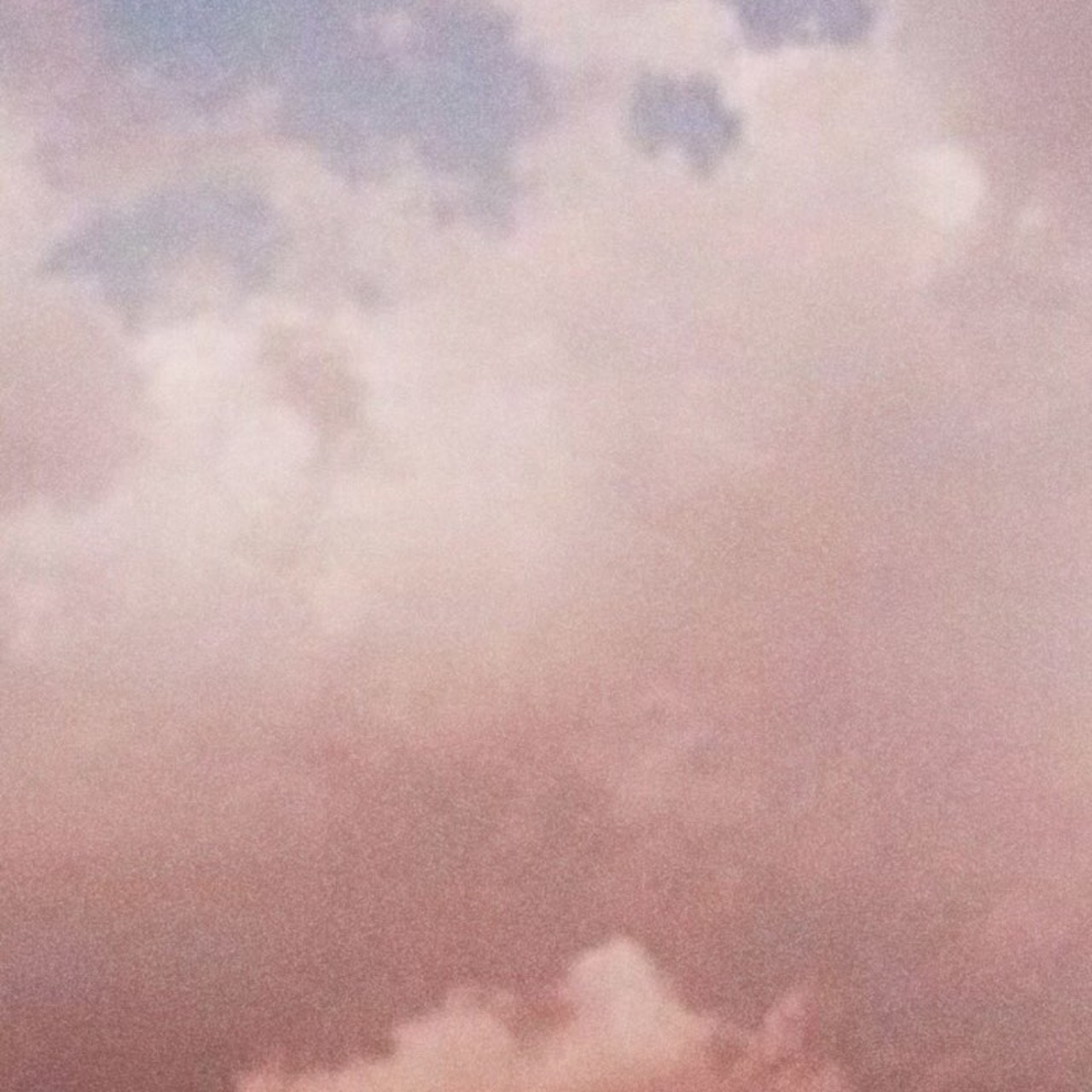 동그라미 (w.숑숑)