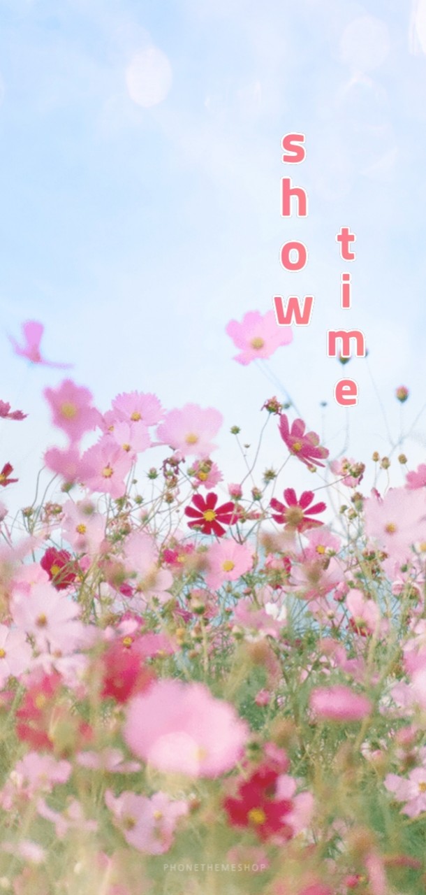 쇼타임🕛962 - 언럭키 골든컵