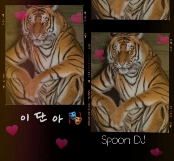 <히든단아> - 이단아