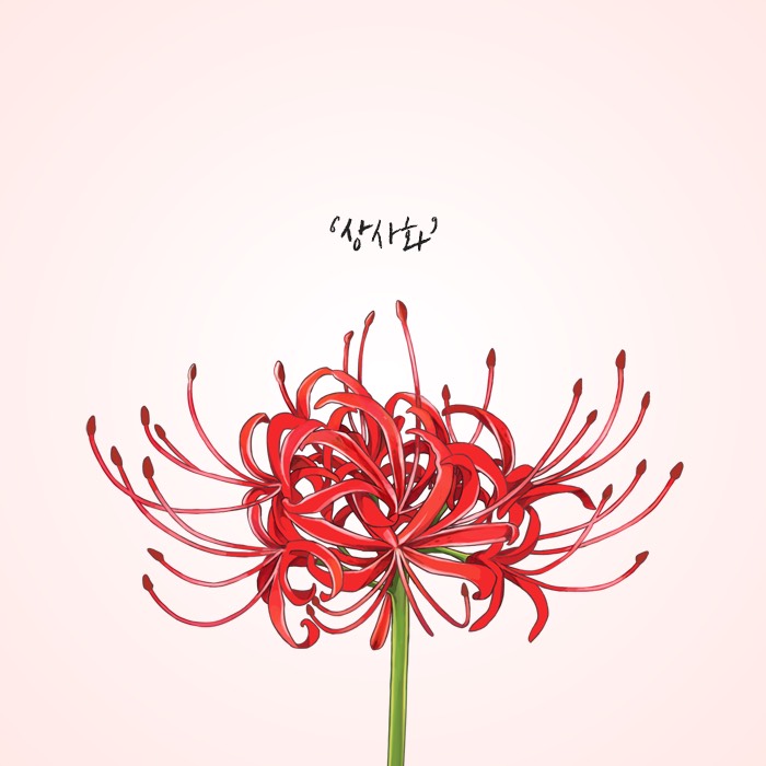 안예은 - 상사화