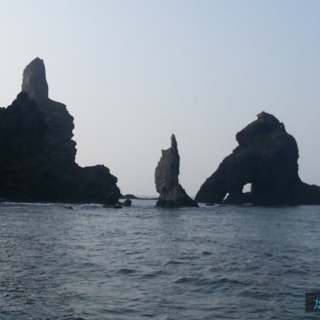 홀로아리랑🍉☕