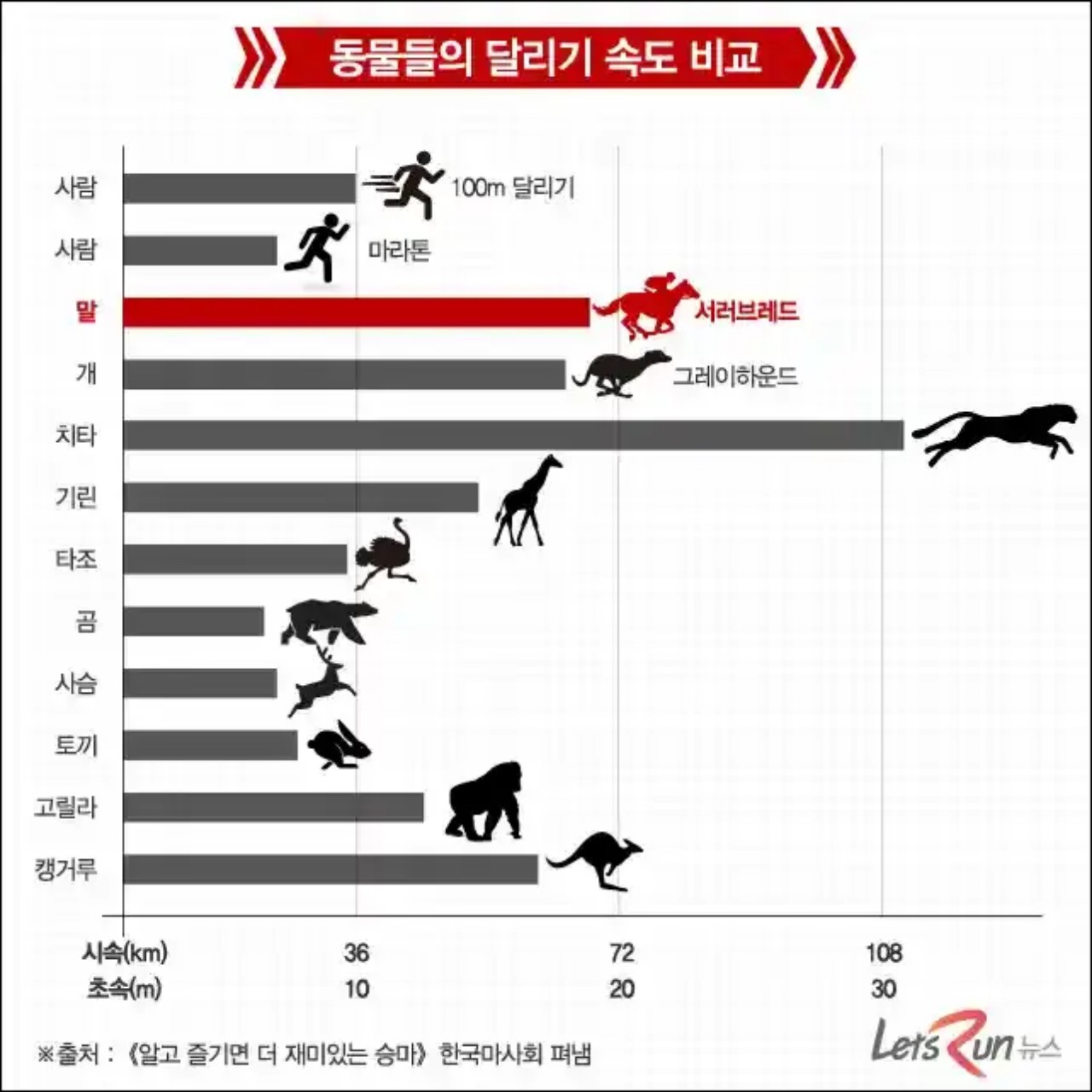 47기차vs타조 달리면어디가ㅋㅋ
