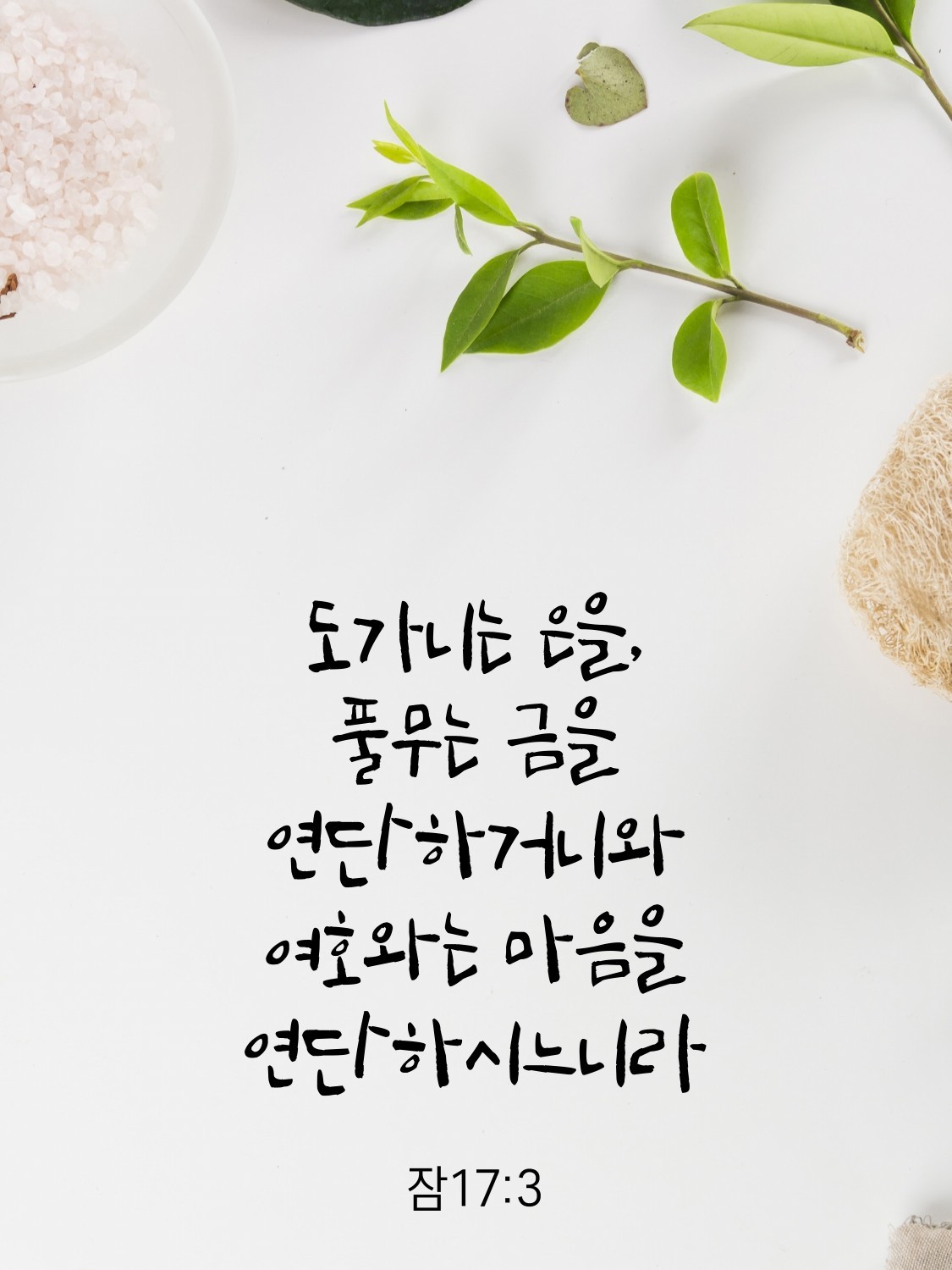 🎁잠언 17장🎁