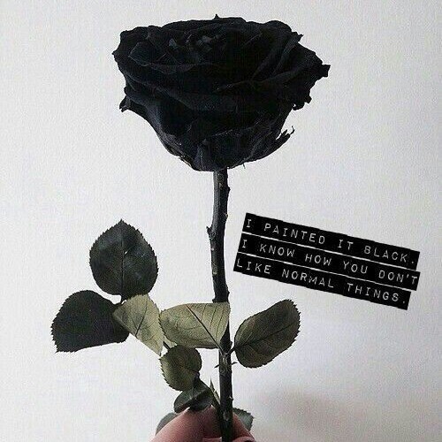 사랑과우정사이