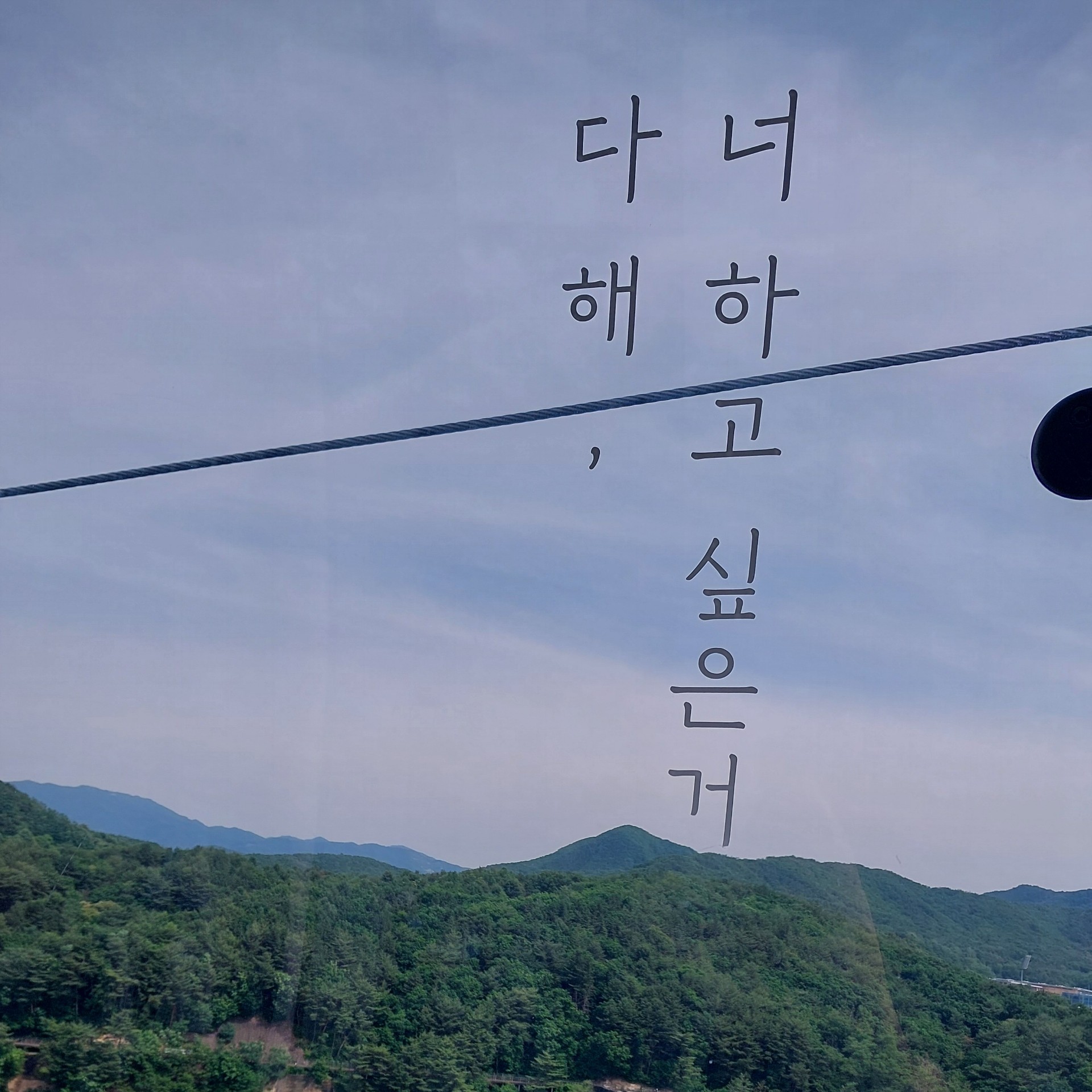 🍠 호박고구마!!
