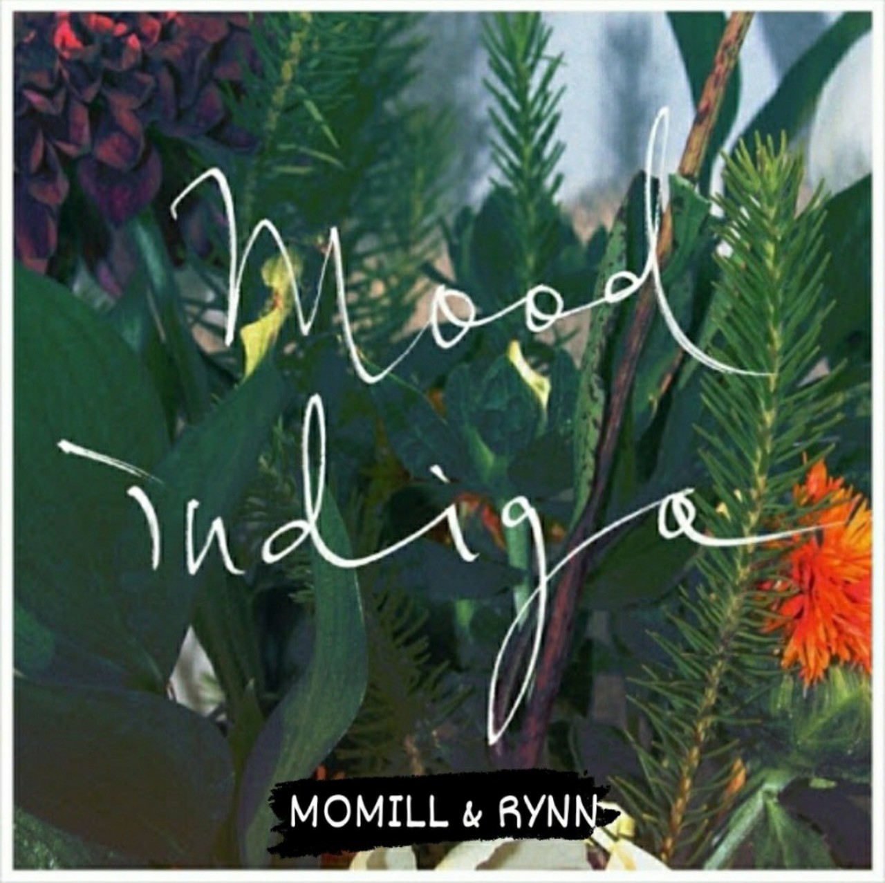 치즈-Mood Indigo(모밀&린)