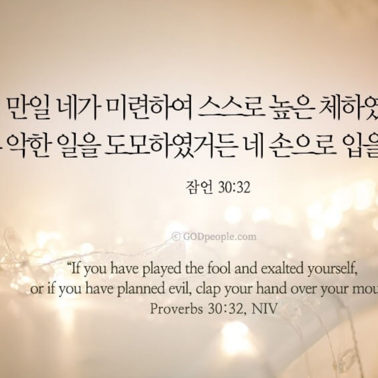 🦋잠언 28장 ~31장 🦋