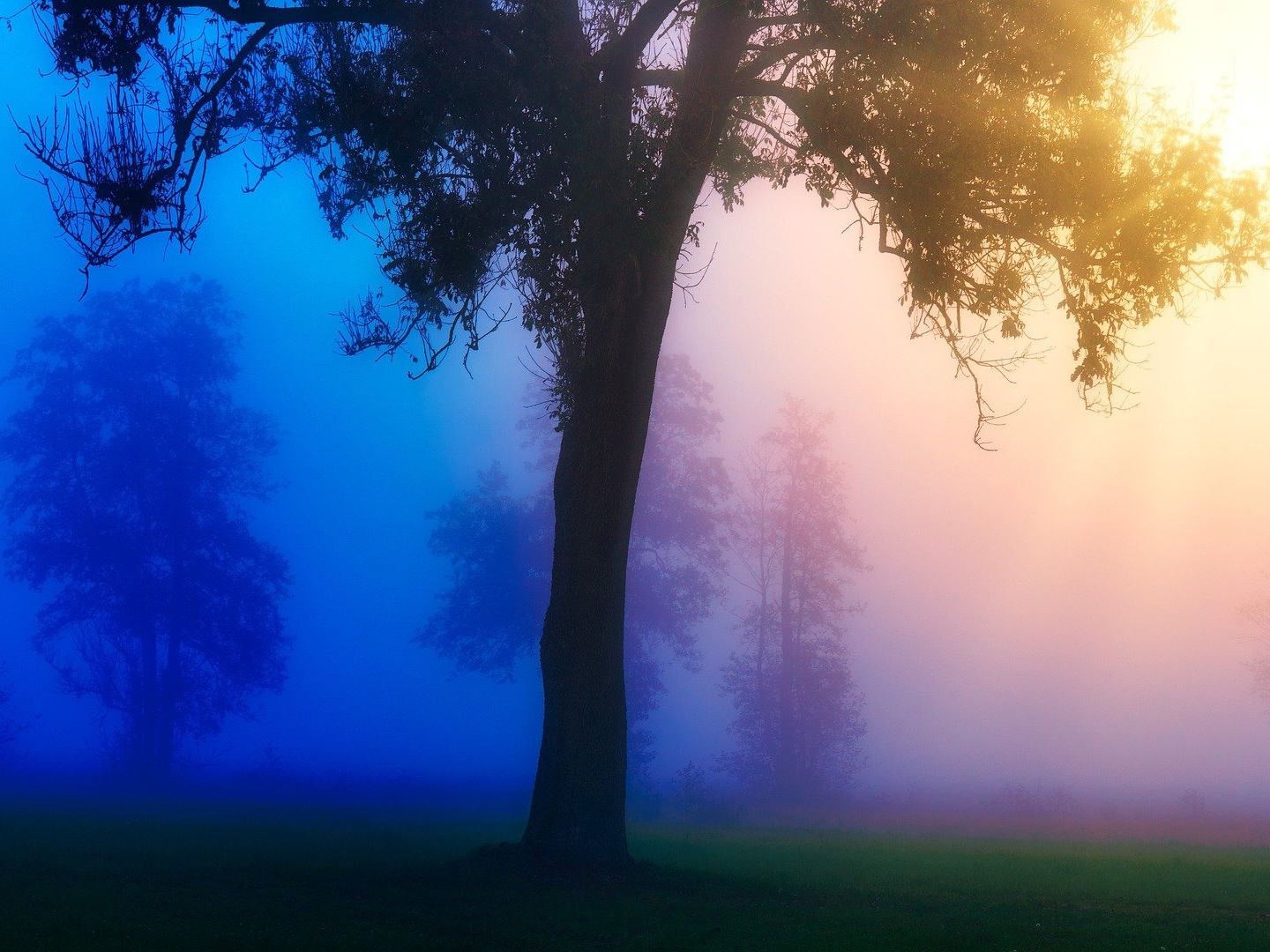 [2일차 방송] 보통남 하룬이와 대화
