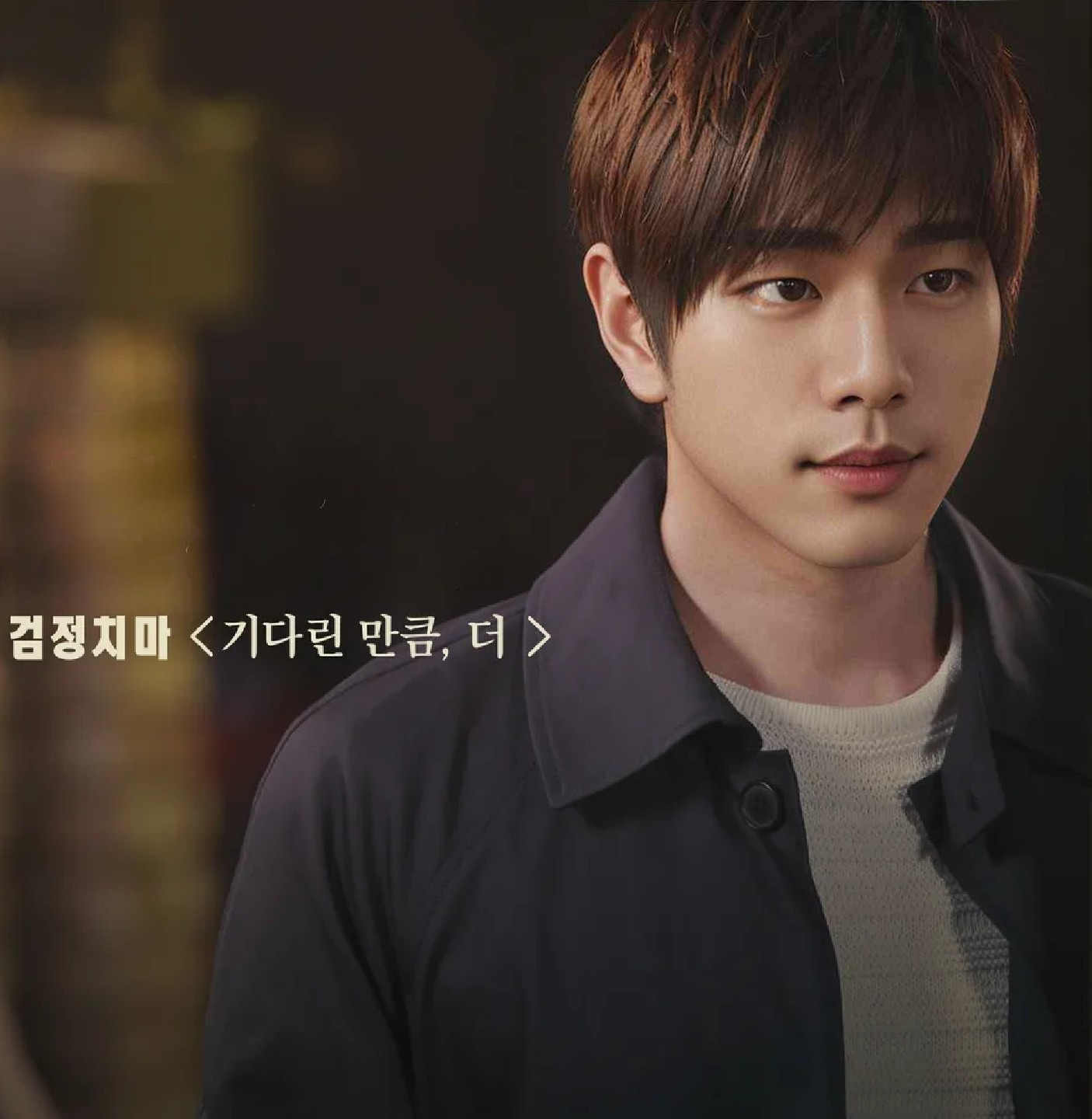 검정치마 - 기다린 만큼, 더(레오 커버)