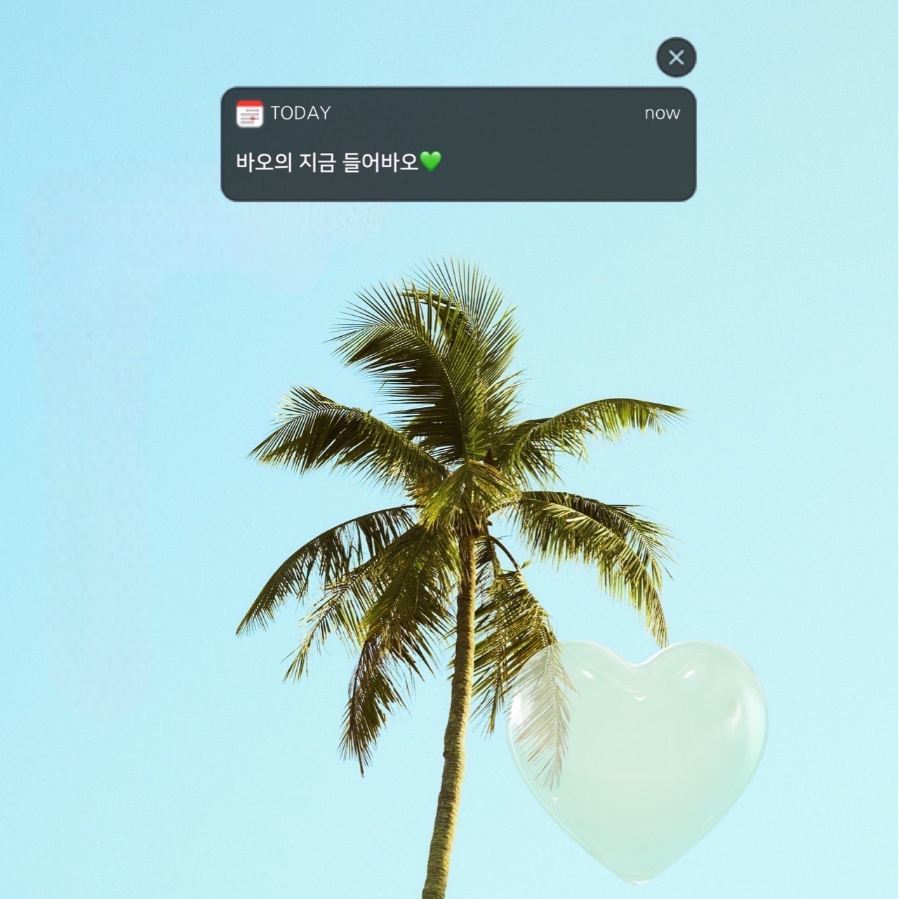 바오의 지금 들어바오 #1