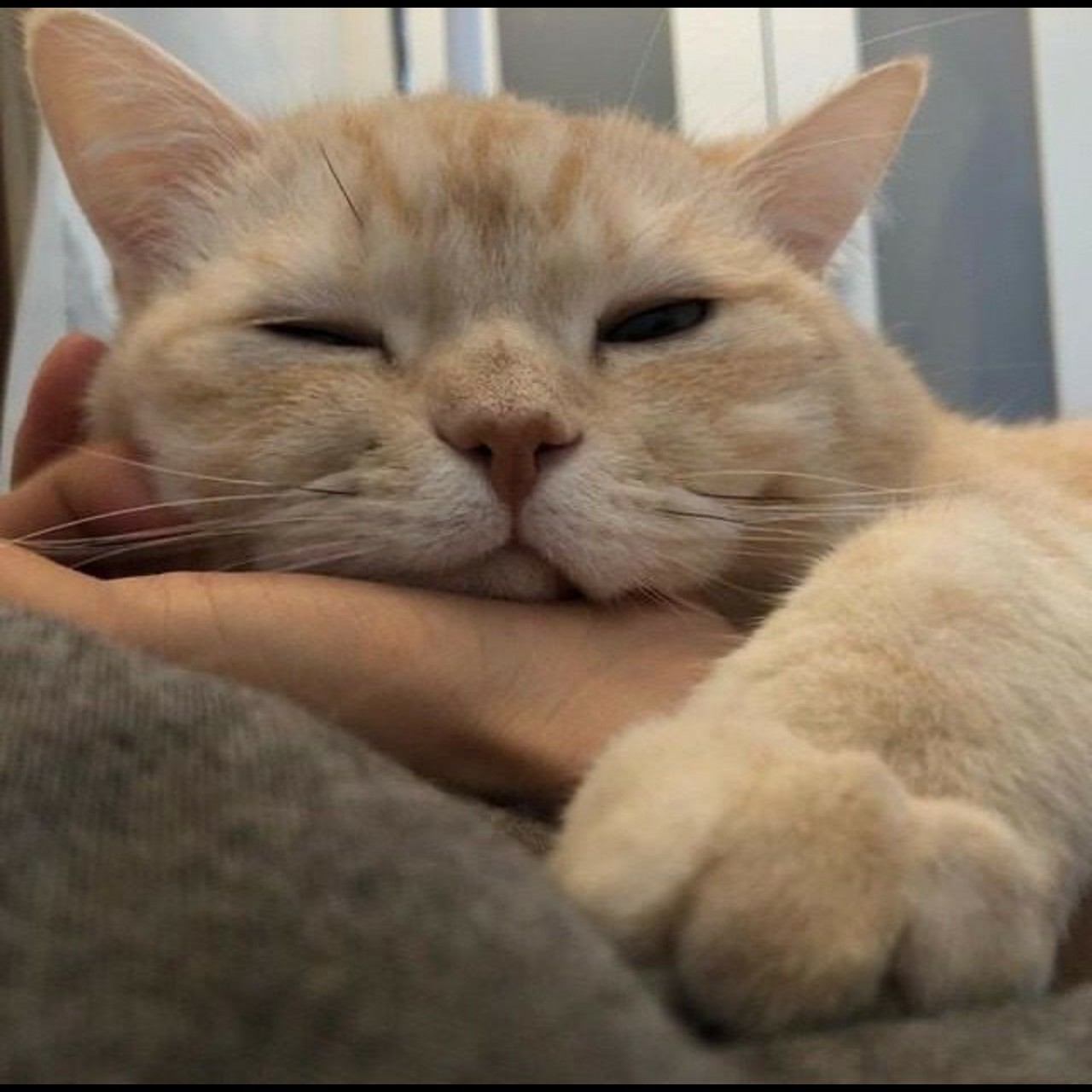 크러쉬 잊어버리지마 with.구월