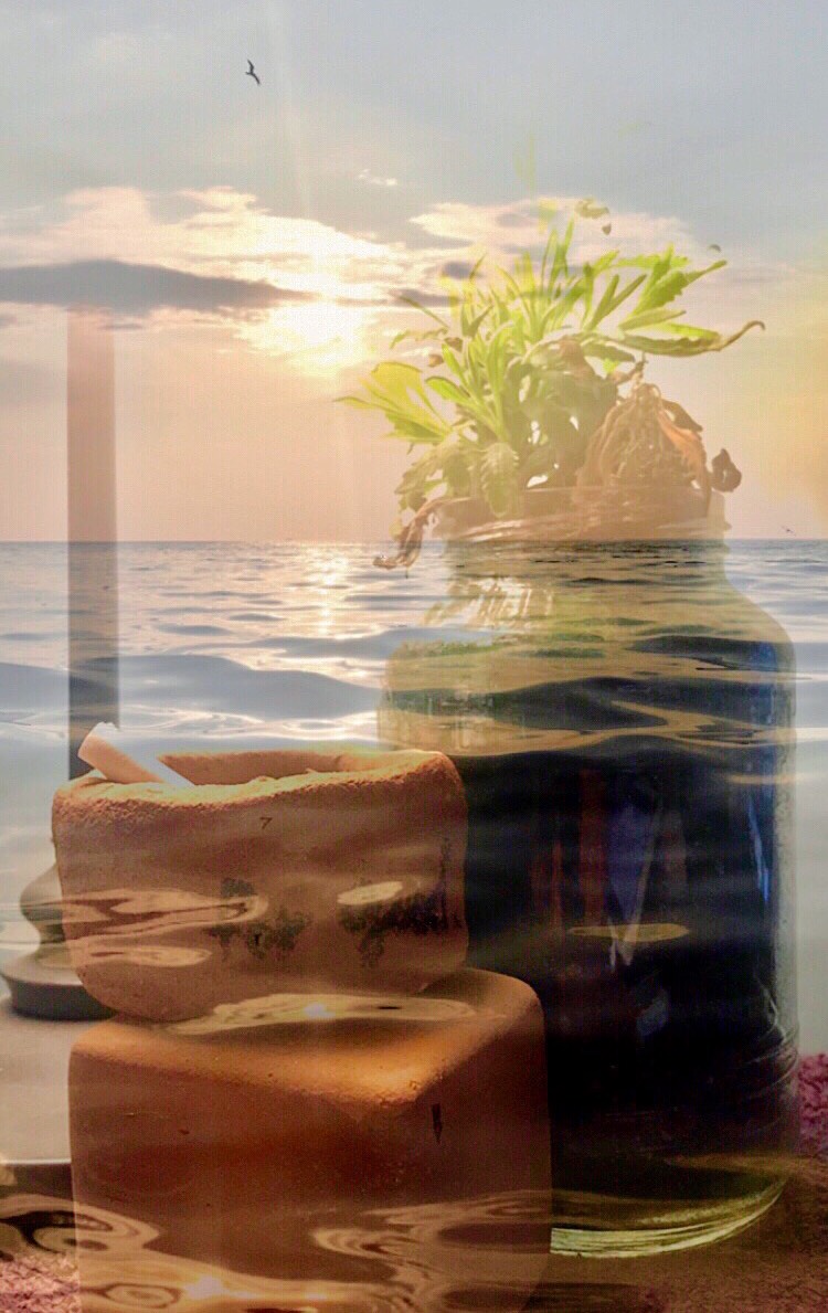 인천 앞바다에 라벤더가?!