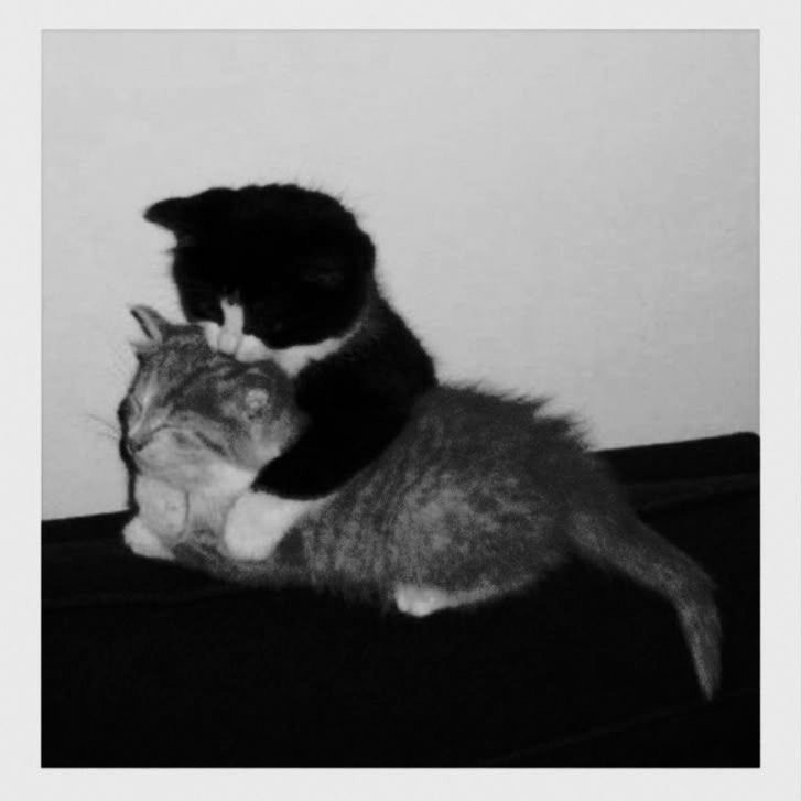 내가 없는 당신의 삶은