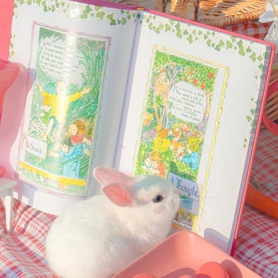 마이크에 랩씌우고 화장품 asmr