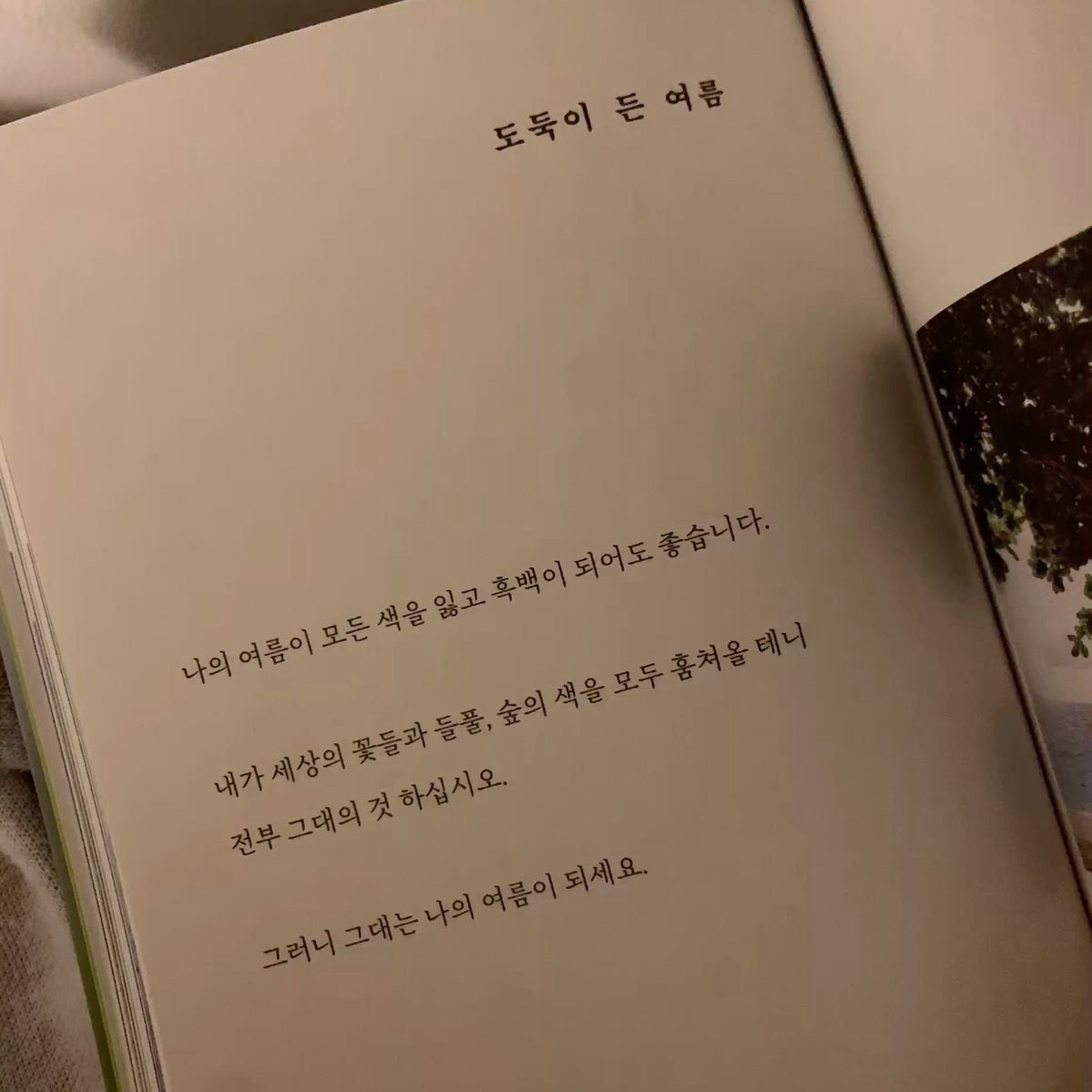하필이면 여름