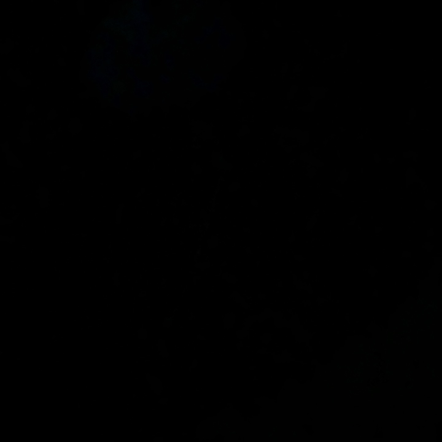 그늘같은 늘같은