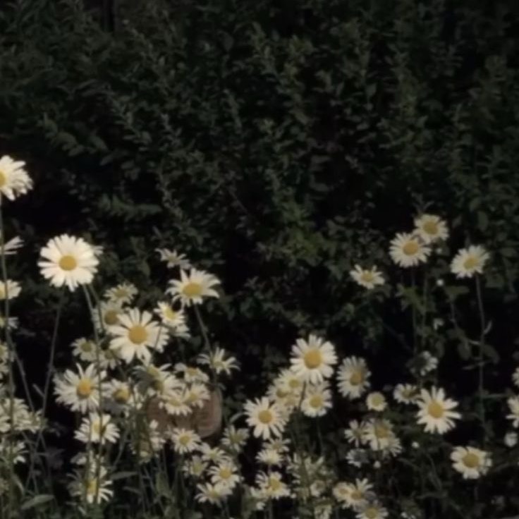 그 계절의 온도,진서윤