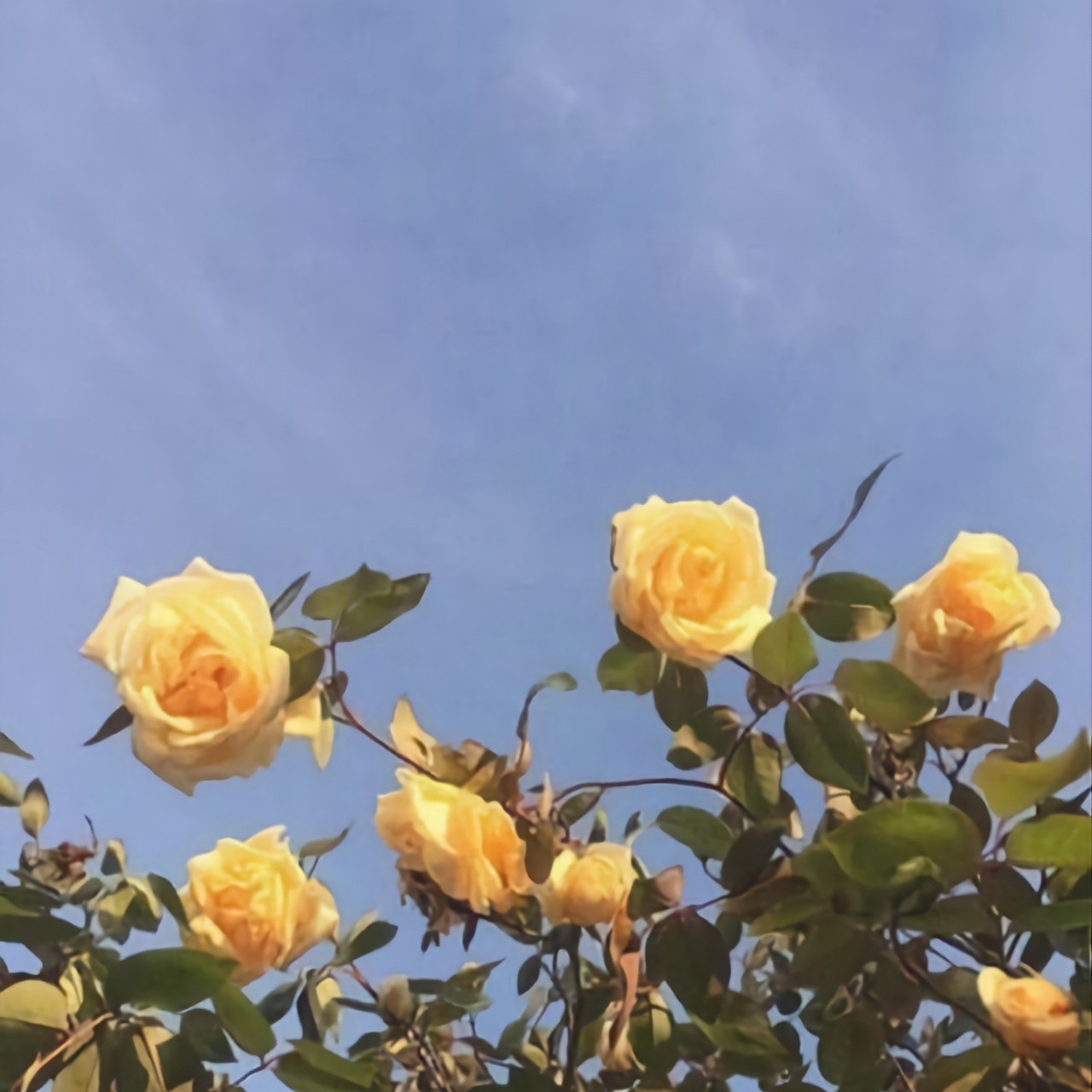 프라하 - 김사월