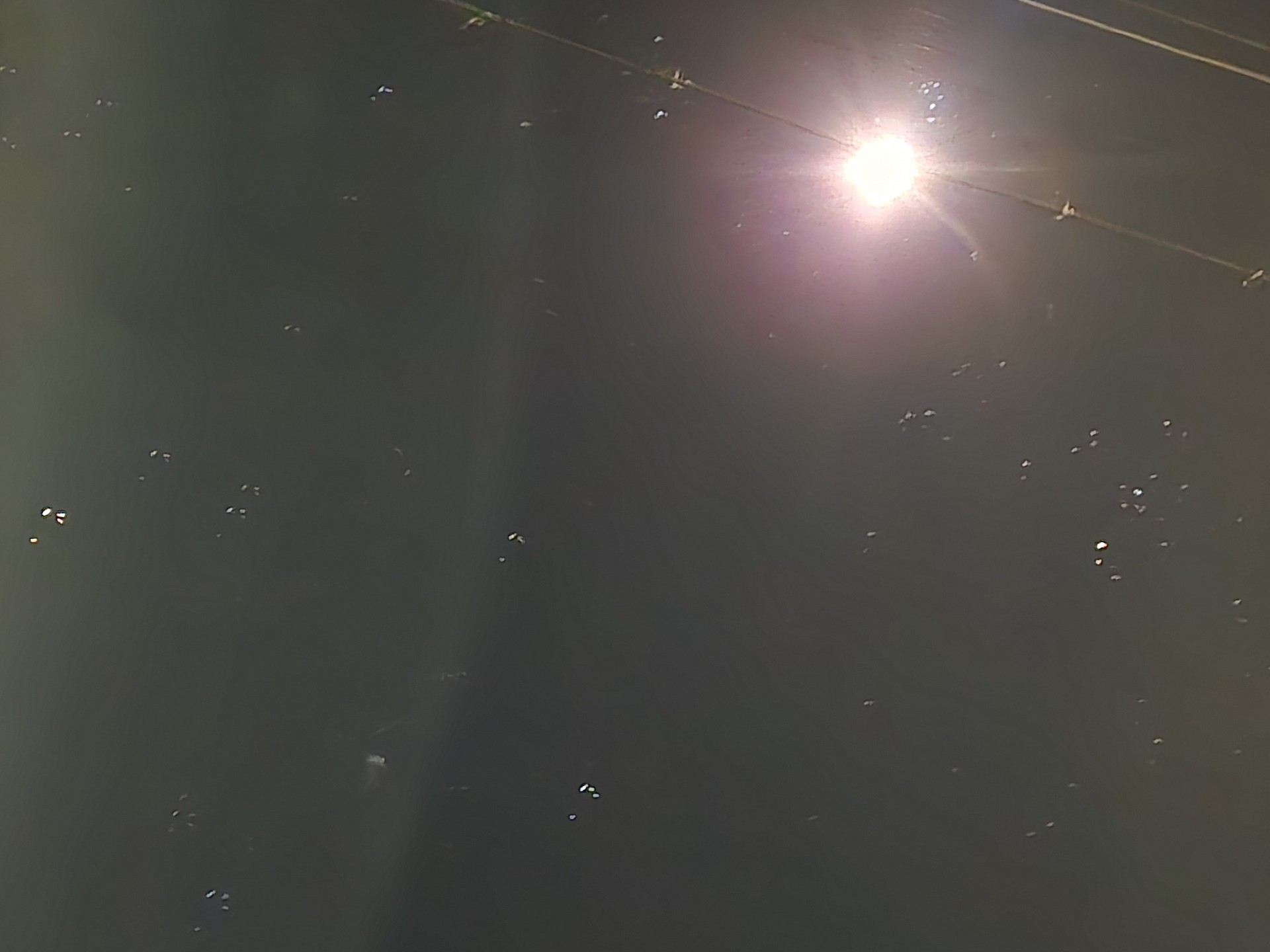 스트레이 - 달 커버