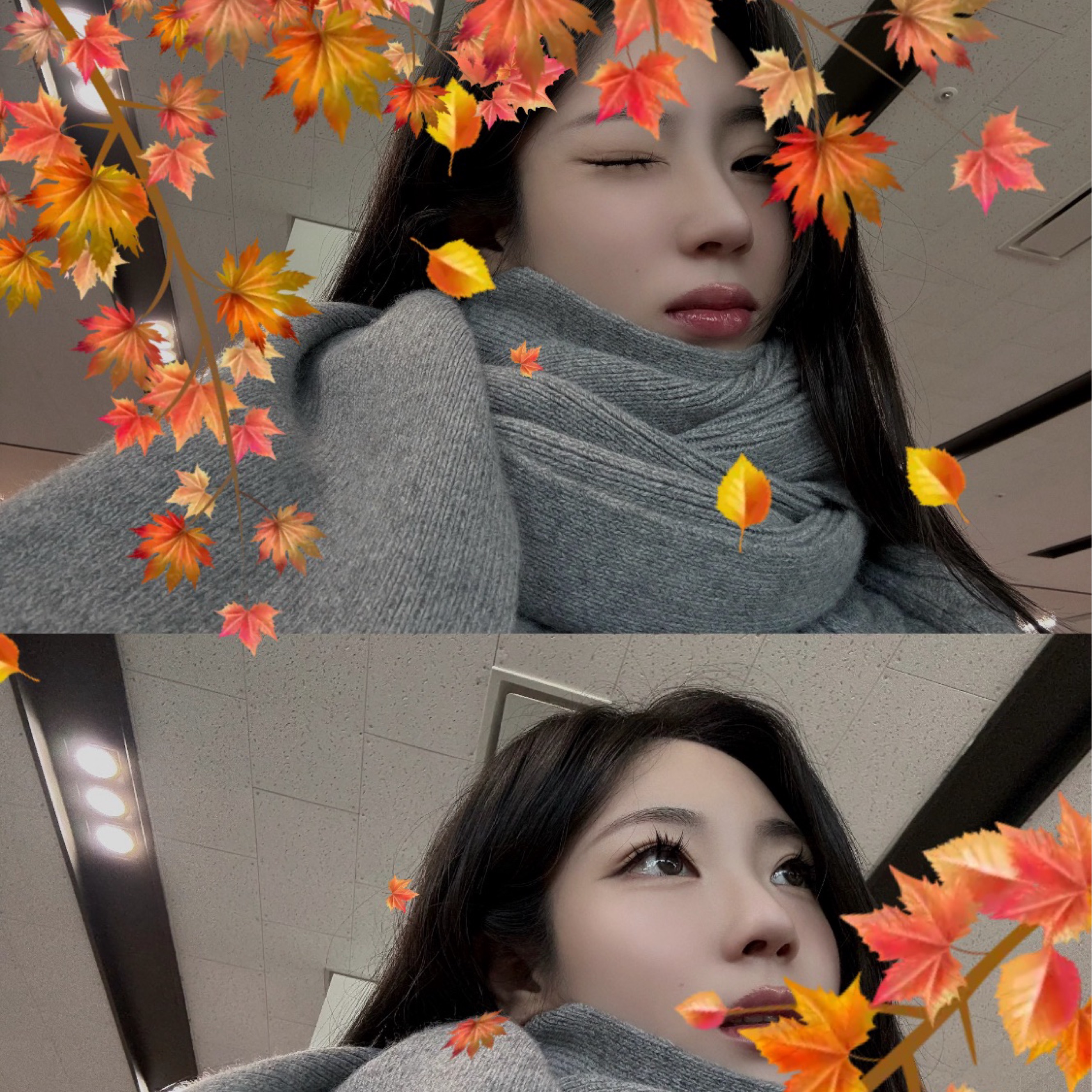 옌노랑 도시락 머그며 단풍놀이즁. 🍁
