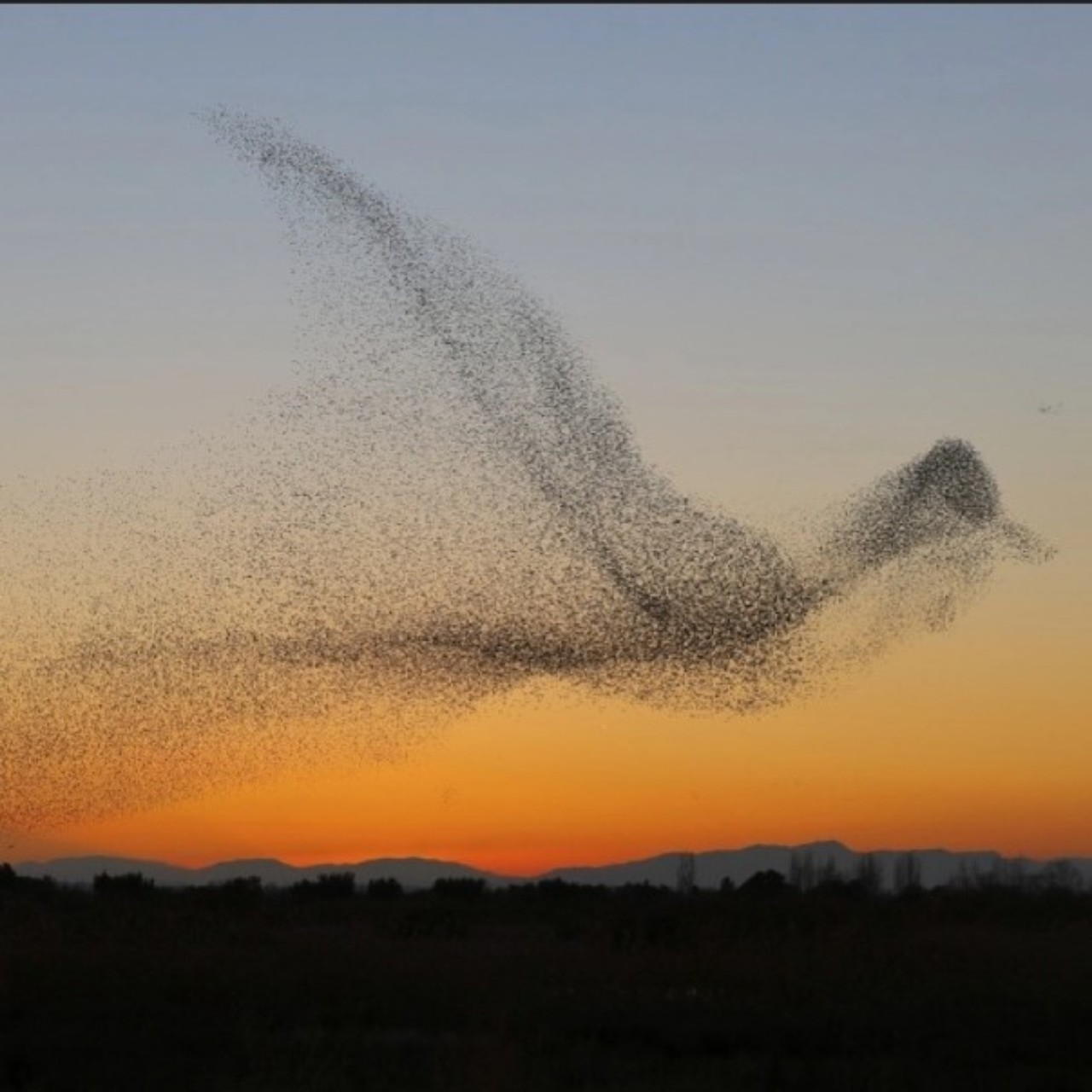 사랑하는사람에게