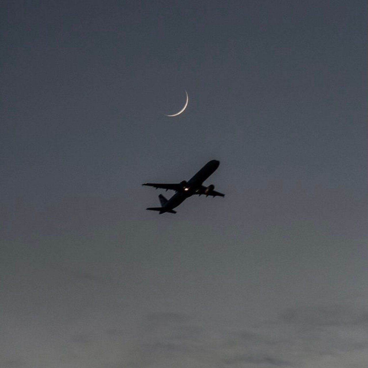 [ASMR] 꿈속으로 떠나는 비행