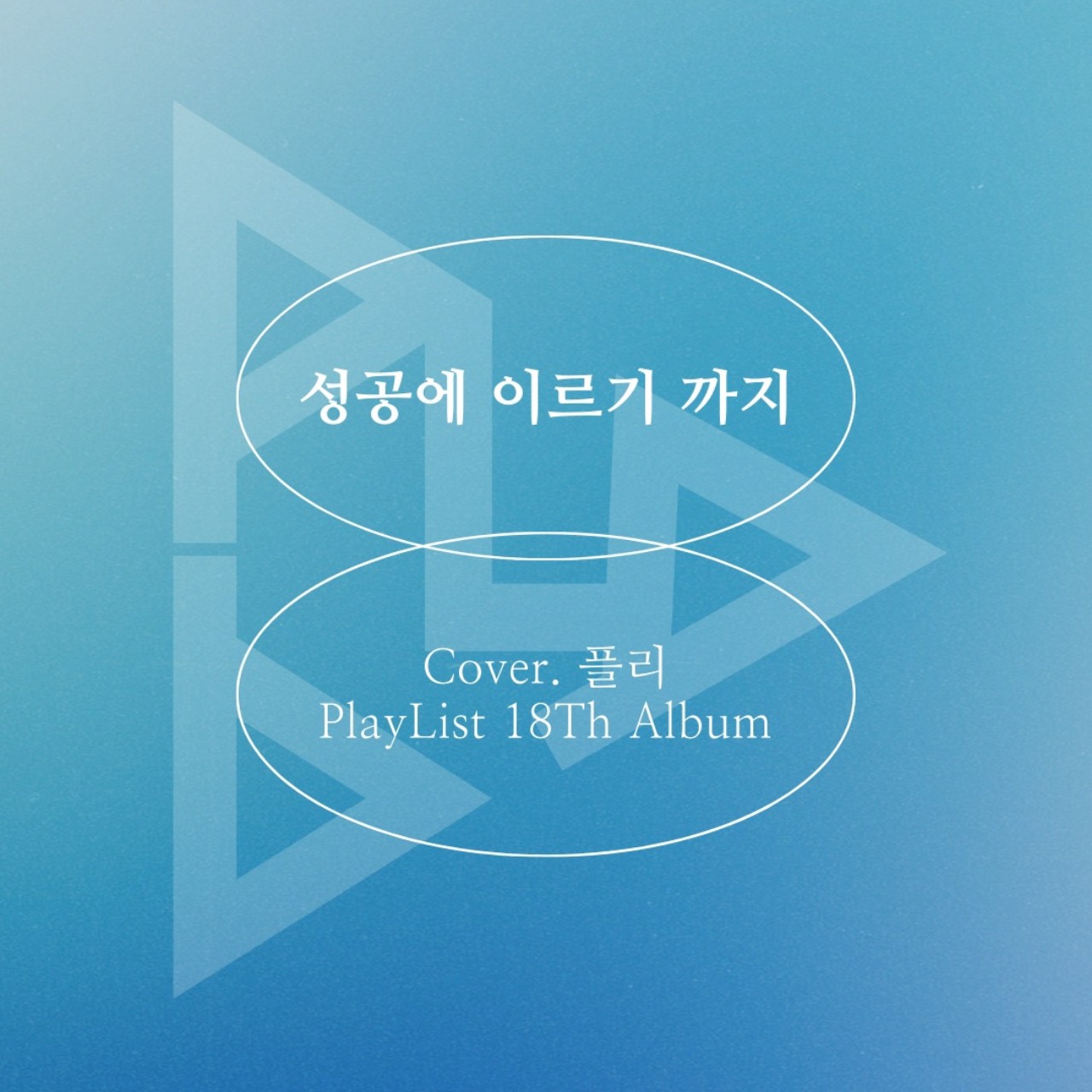 김플리_성공에 이르기 까지