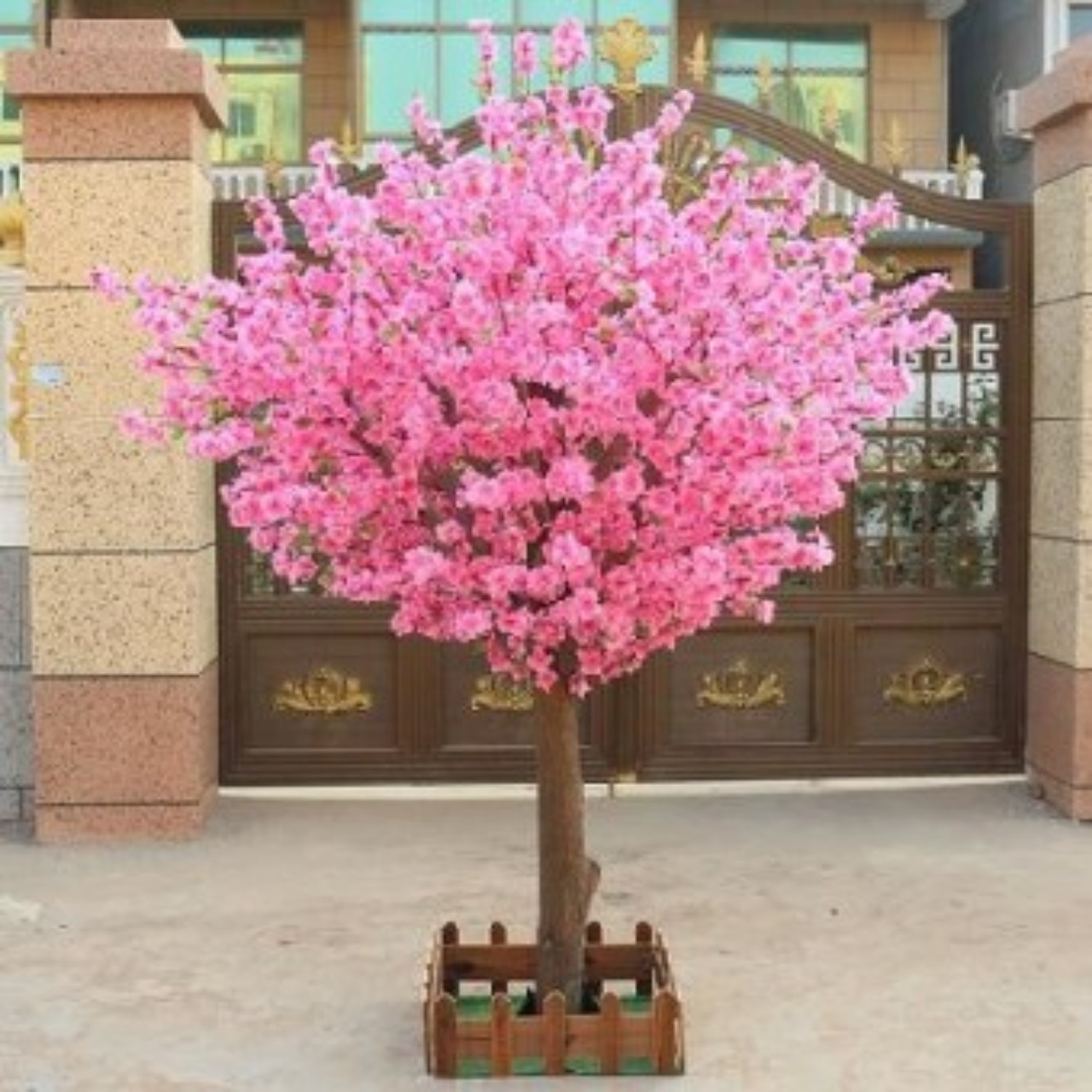 체리와사쿠라