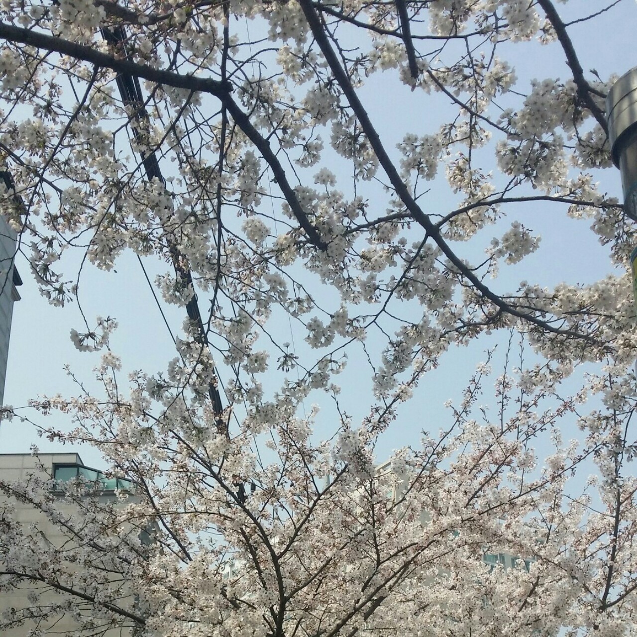 구슬아이스크림