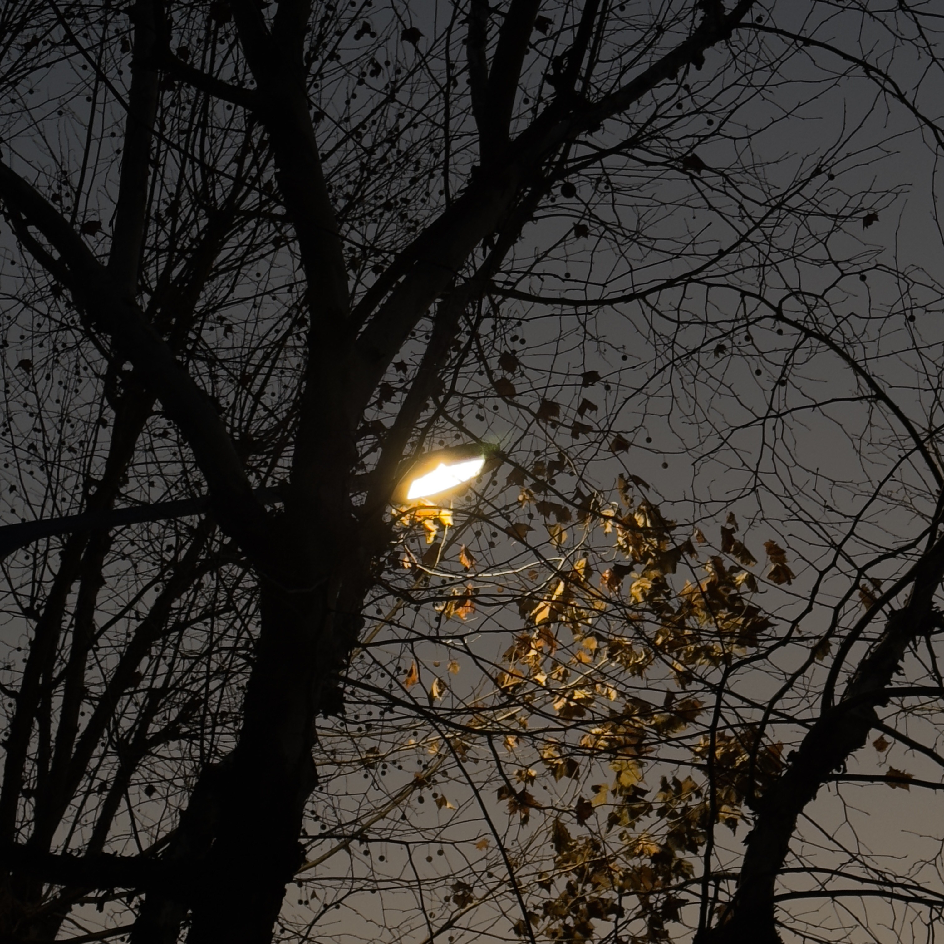 나한테 멀어지니까