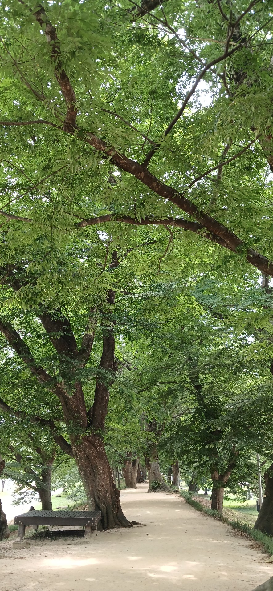 책 나는 참견하기로 했다 . / 강따라 들따라 시모임 6집