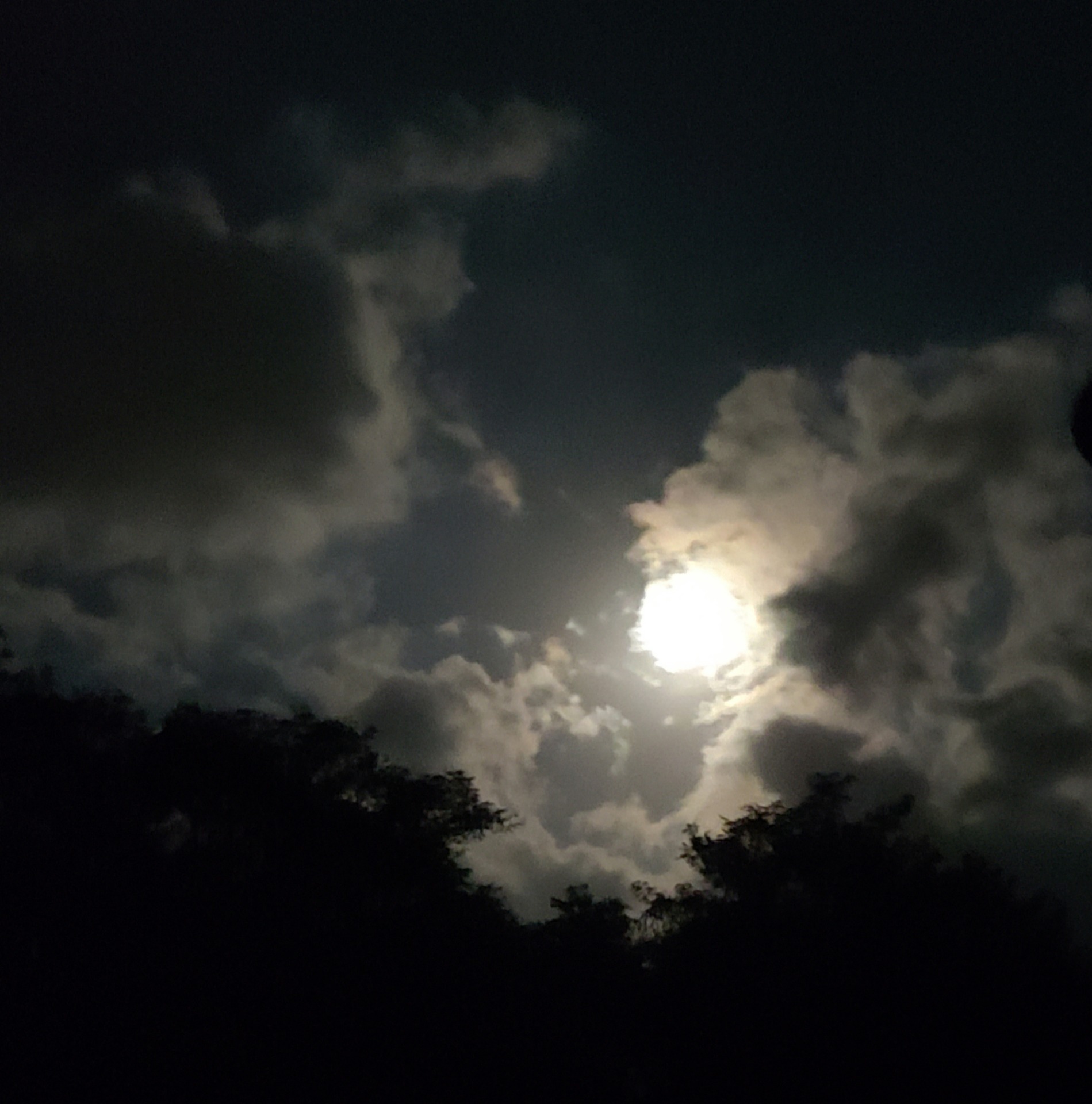 그대 없는 밤에 - 전상근