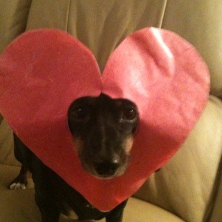 내 마음에 비친 내 모습