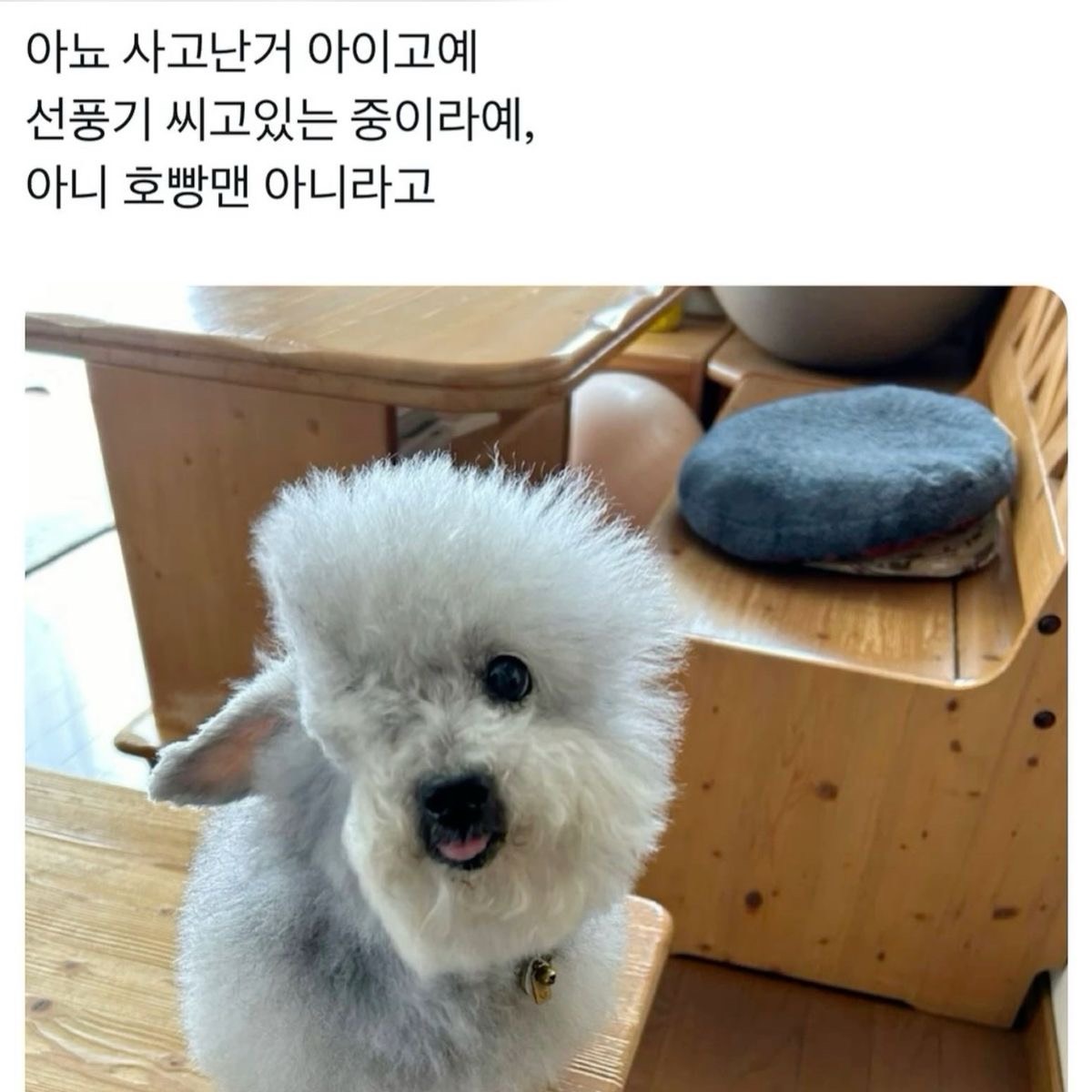 노래함