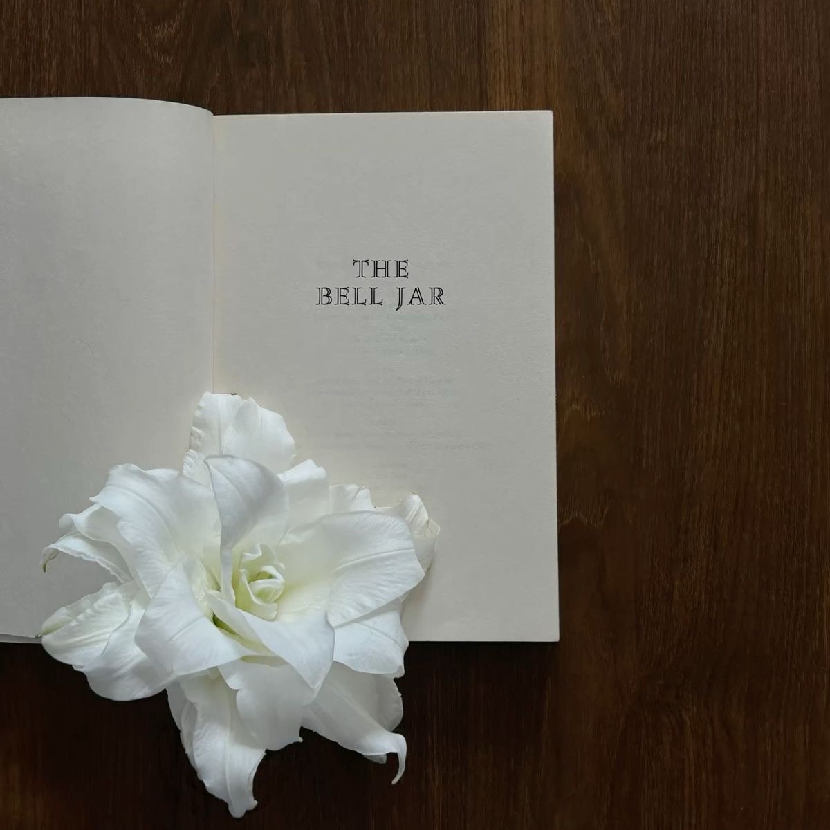 내가 부른 노래 모음(1).zip