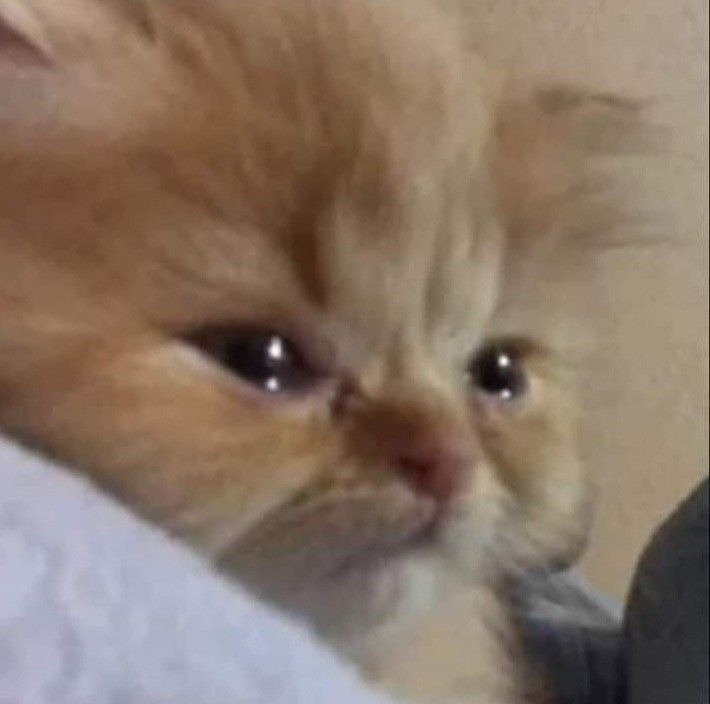 아무 말도 안 하는 건