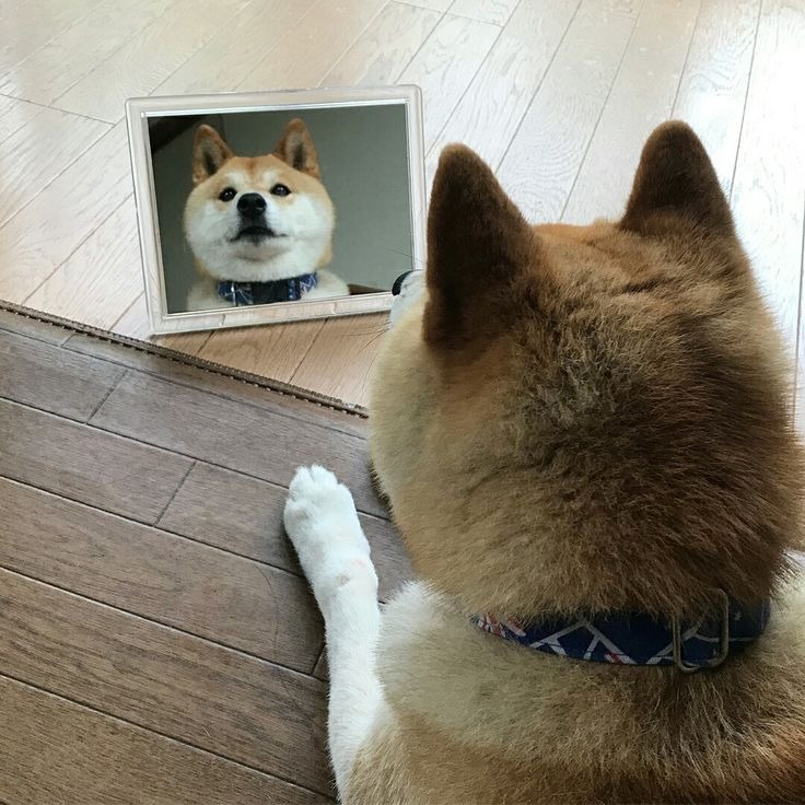 내 마음에 비친 내 모습