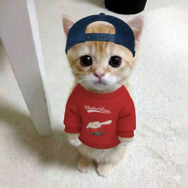 내가 바보라서 그래?