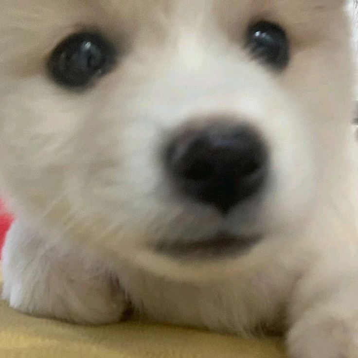 B에게 쓰는 편지