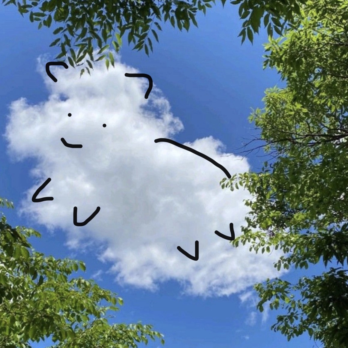 흘러가는 구름 ☁️☁️ 