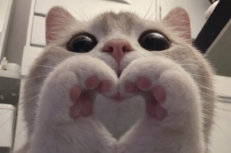⠀⠀⠀