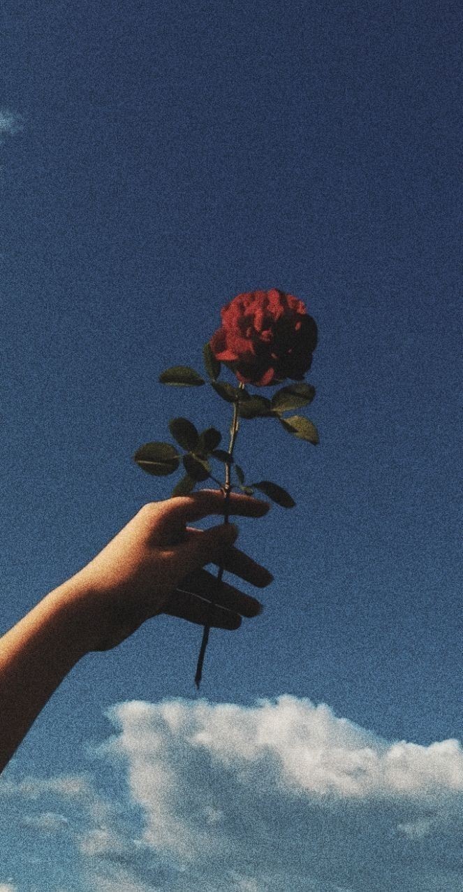 루시 - 그녀가 웃잖아