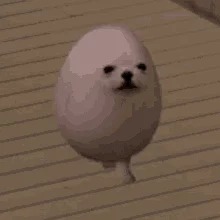 ❌️‍‍‍‍ ‍‍‍‍