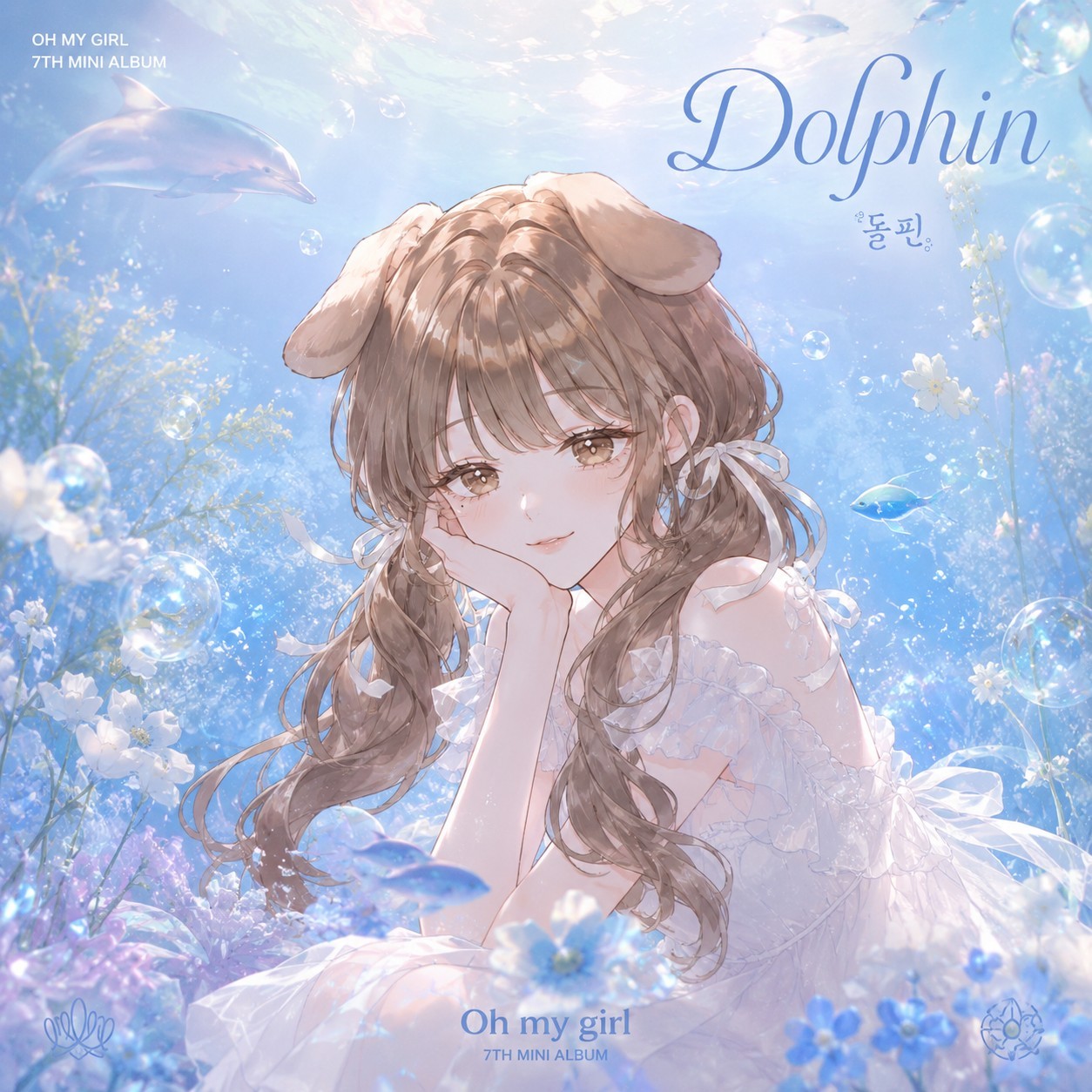 Dolphin