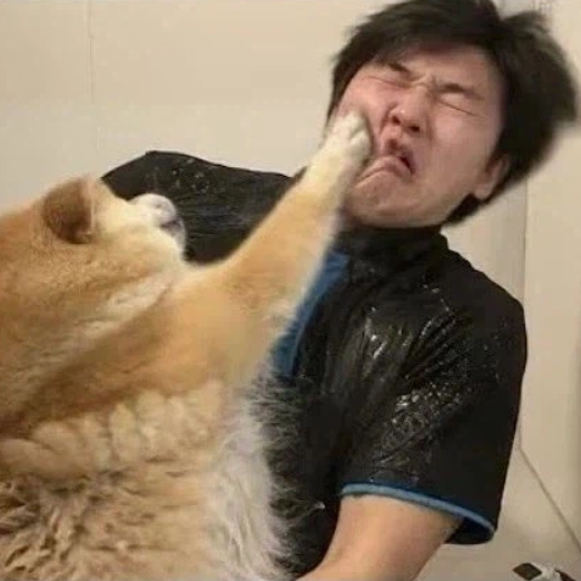 하반기 결산 그 어디쯤...나무와 함께