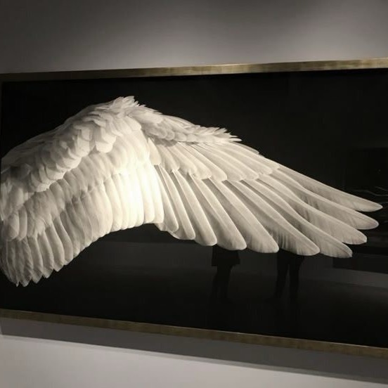 그 무렵의 너를 사랑해